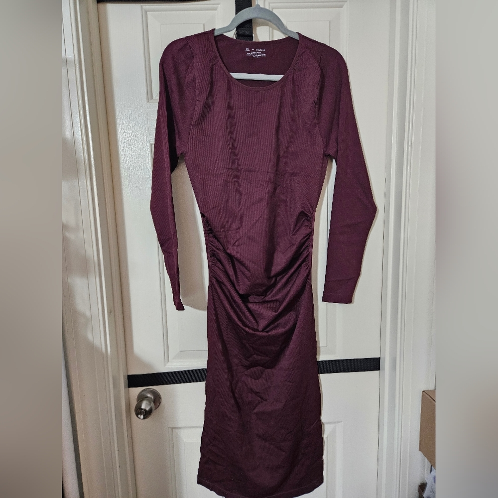 Elegant Plum Long Sleeve Dress